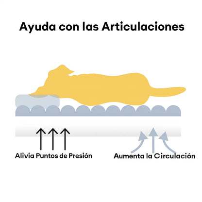 Sofá Snoozy®El descanso premium que tu perro merece — con garantía total y pago protegido