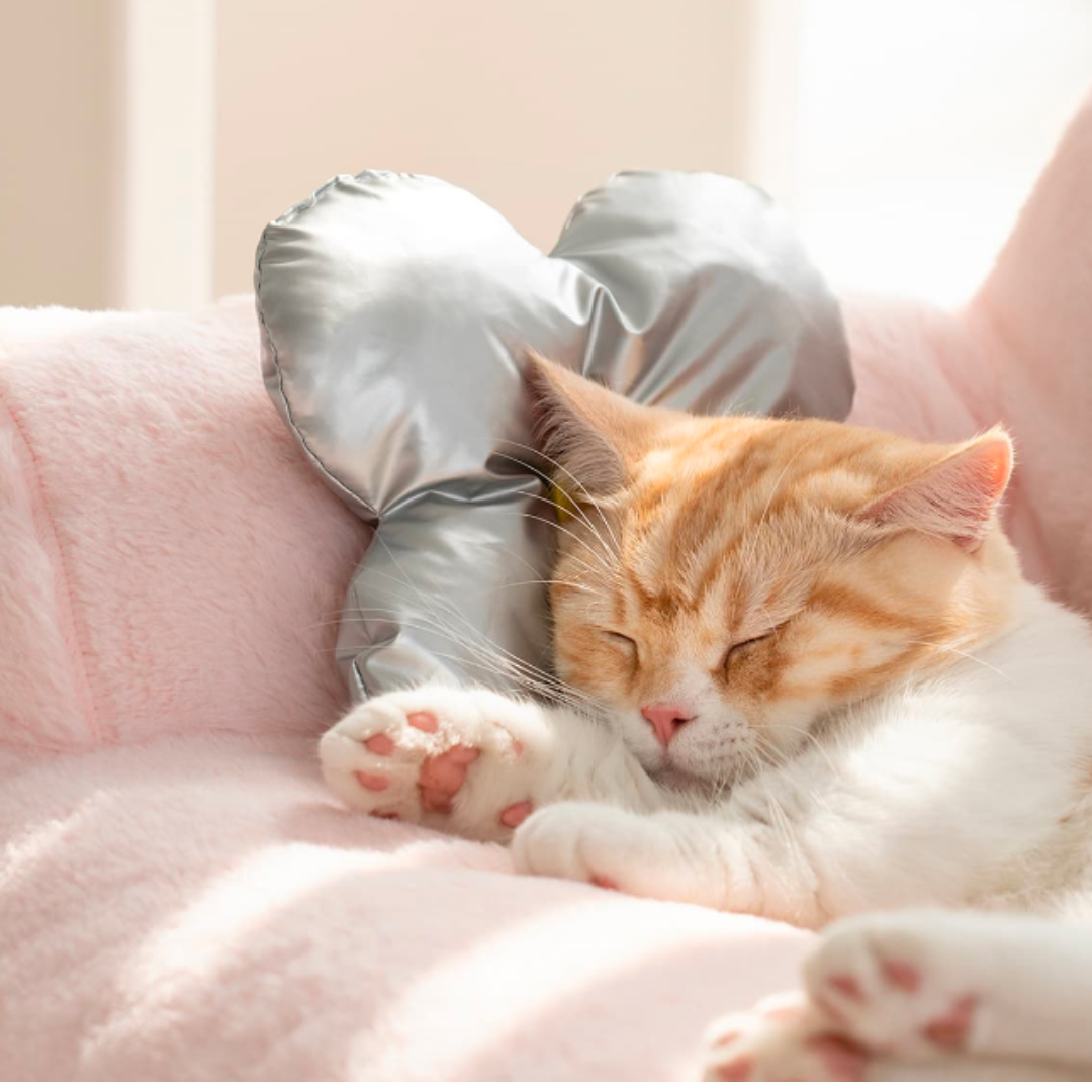 SOFÁ PREMIUM LAVABLE PARA GATOS Y PERROS PEQUEÑOS