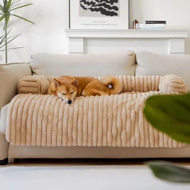 Protector Antiestrés para Sofás – Adiós pelos y manchas- Para perros pequeños y grandes